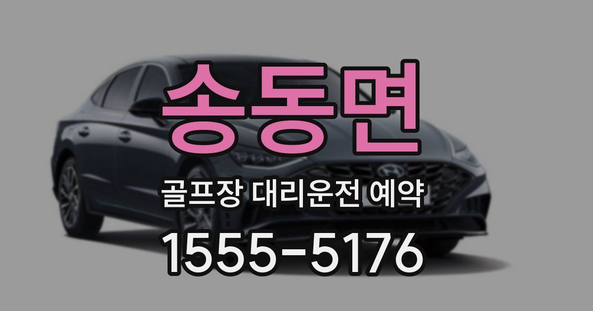 송동면 골프장 대리운전 예약