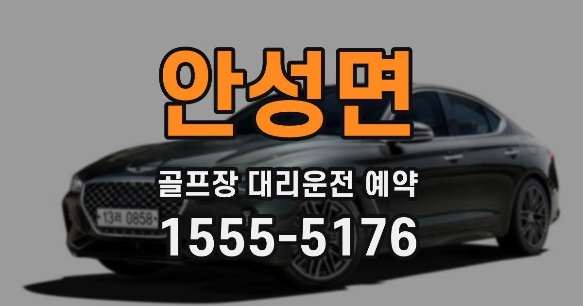 안성면 골프장 대리운전 예약