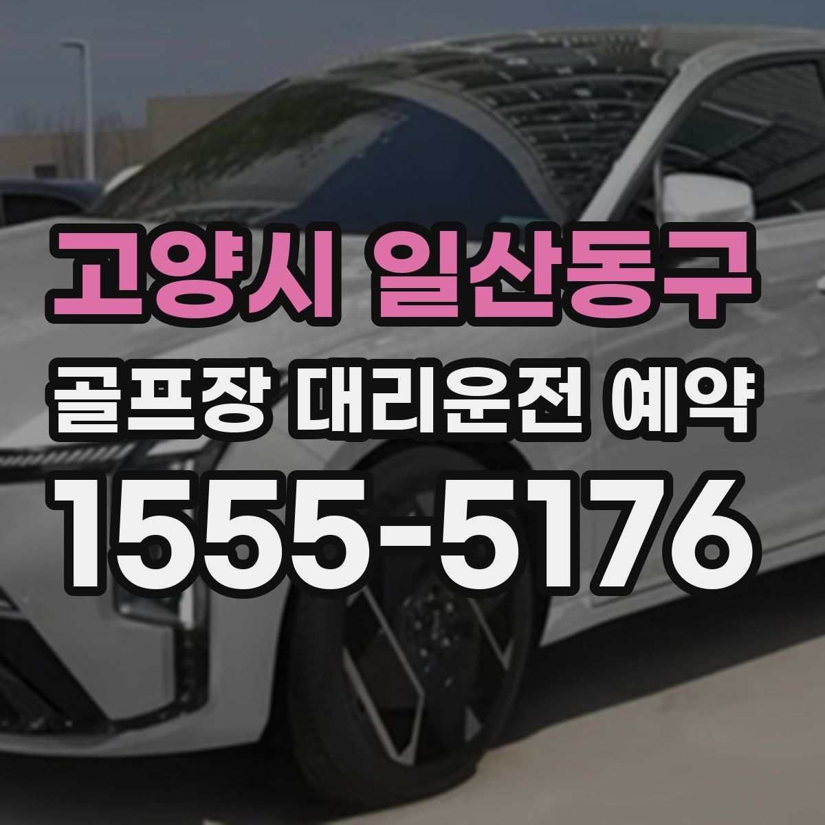 고양시 일산동구 골프장 대리운전 예약