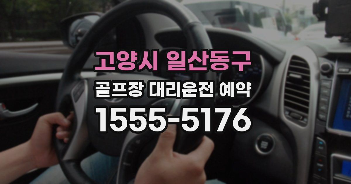 고양시 일산동구 골프장 대리운전 예약