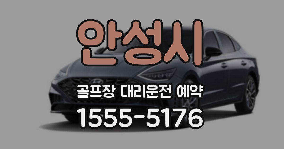 안성시 골프장 대리운전 예약