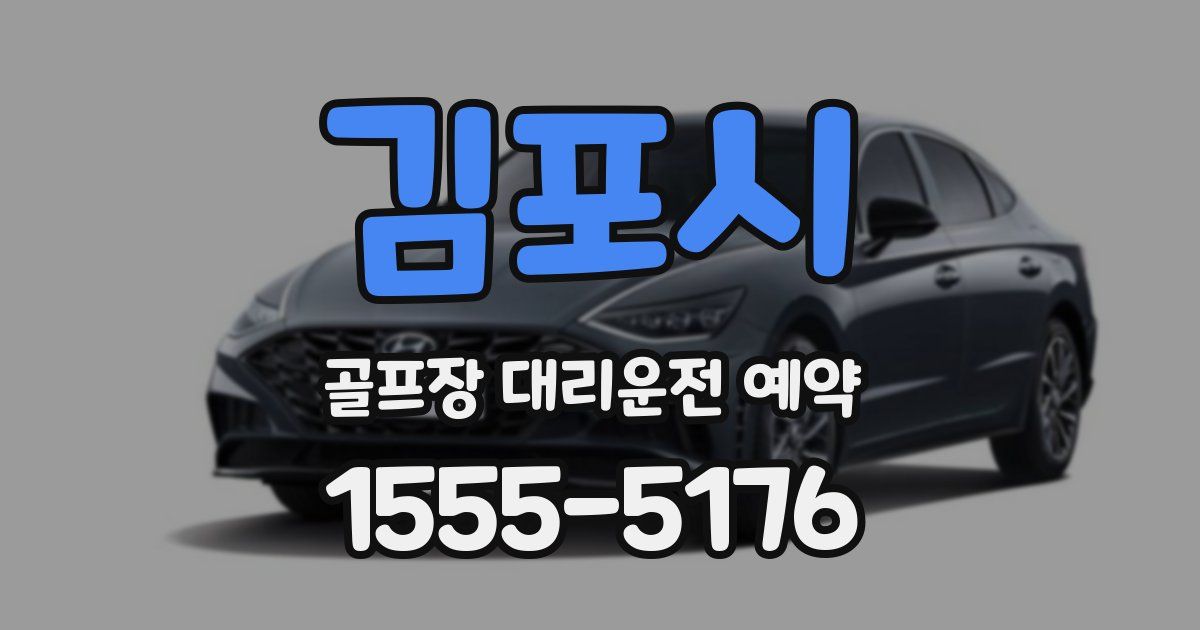 김포시 골프장 대리운전 예약