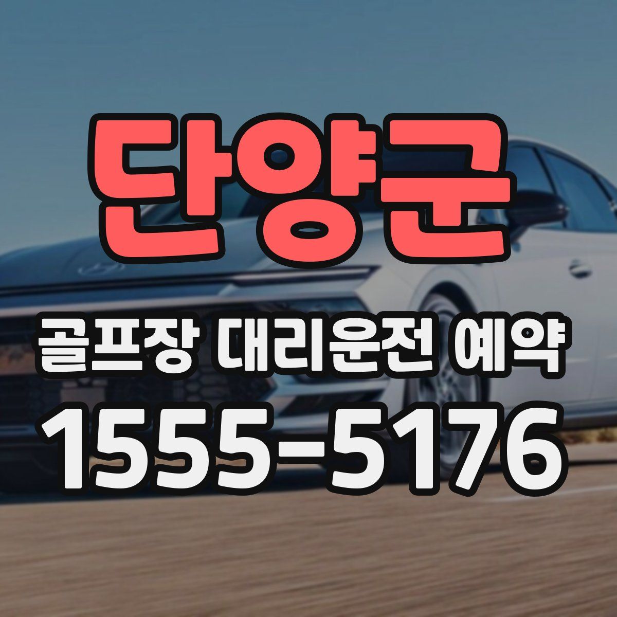 단양군 골프장 대리운전 예약