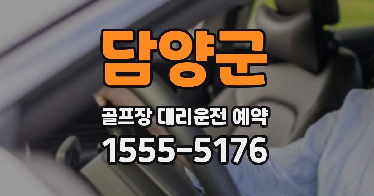 담양군 골프장 대리운전 예약