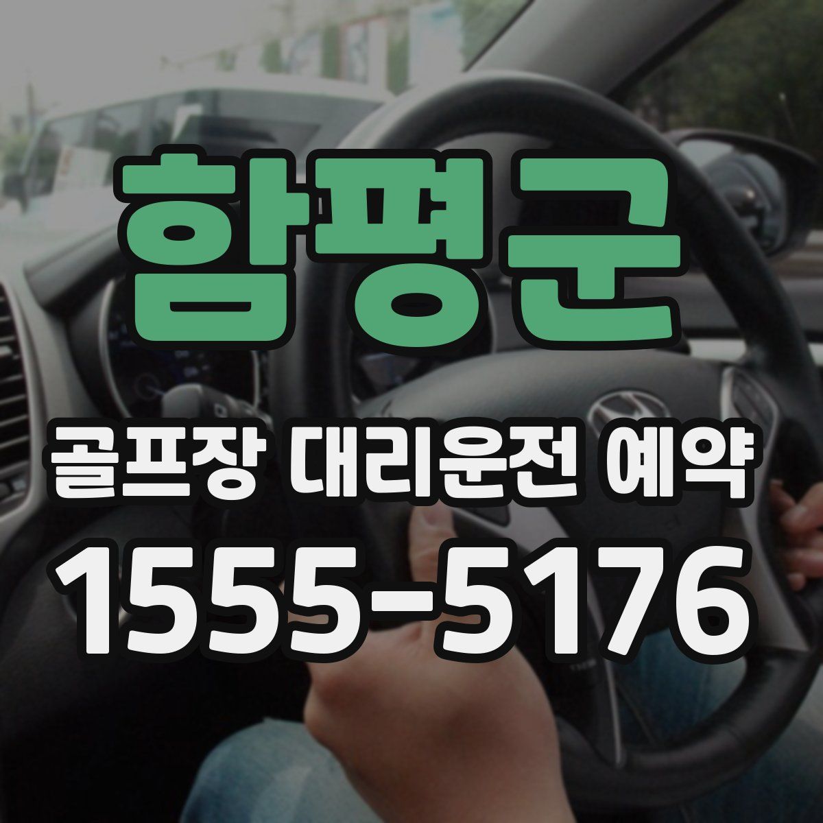 함평군 골프장 대리운전 예약