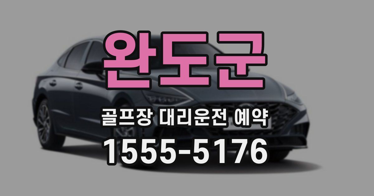 완도군 골프장 대리운전 예약