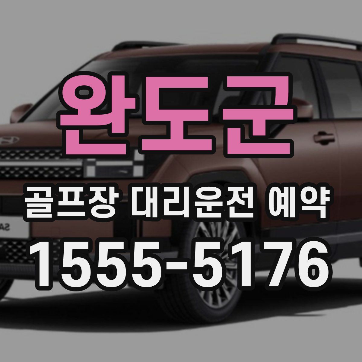 완도군 골프장 대리운전 예약