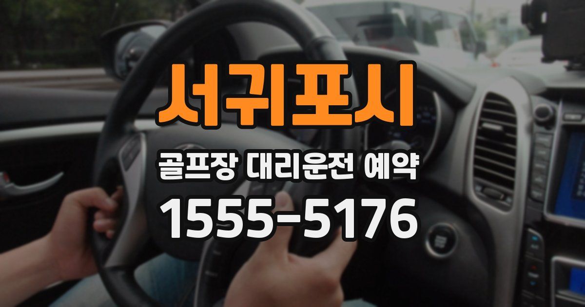 서귀포시 골프장 대리운전 예약