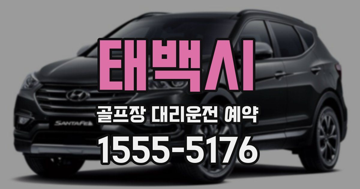 태백시 골프장 대리운전 예약