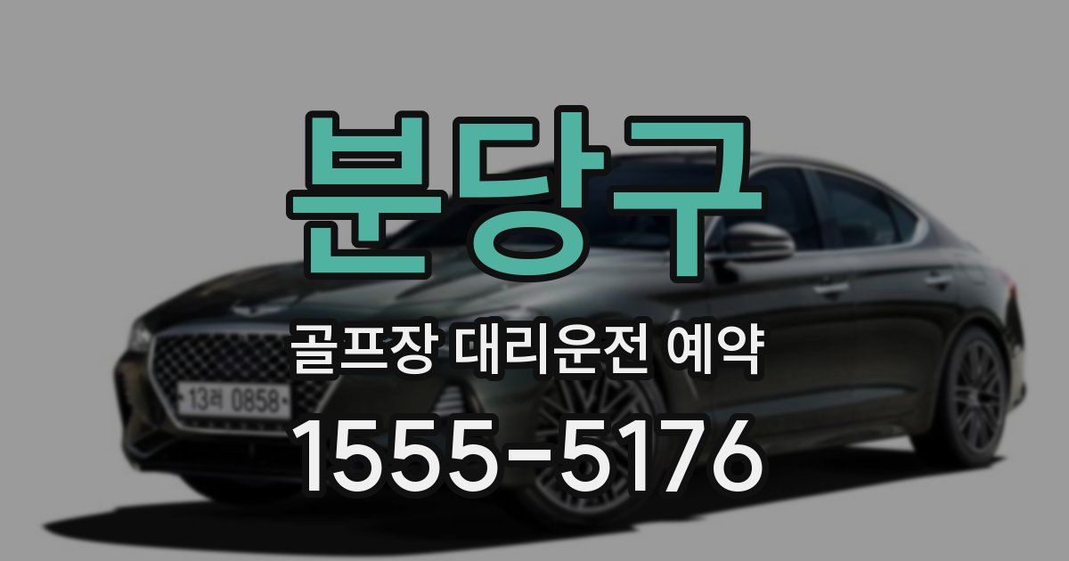 분당구 골프장 대리운전 예약