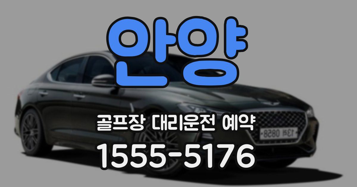 안양 골프장 대리운전 예약