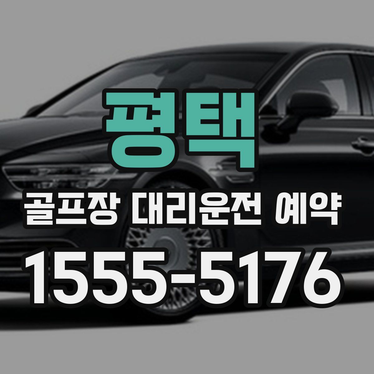 평택 골프장 대리운전 예약