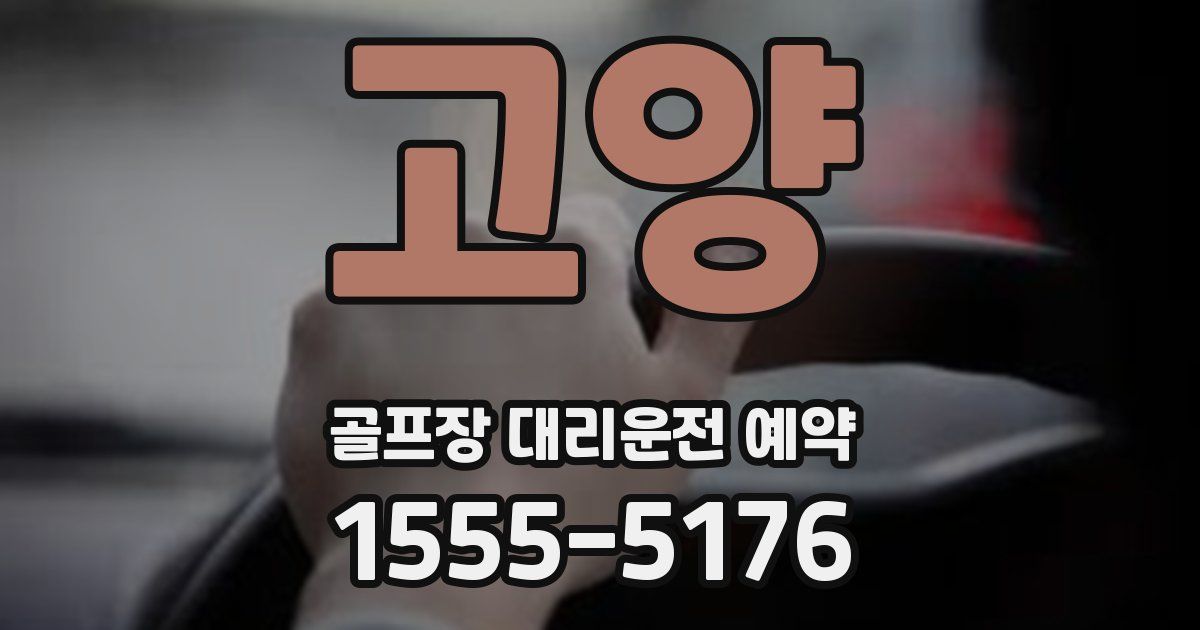 고양 골프장 대리운전 예약