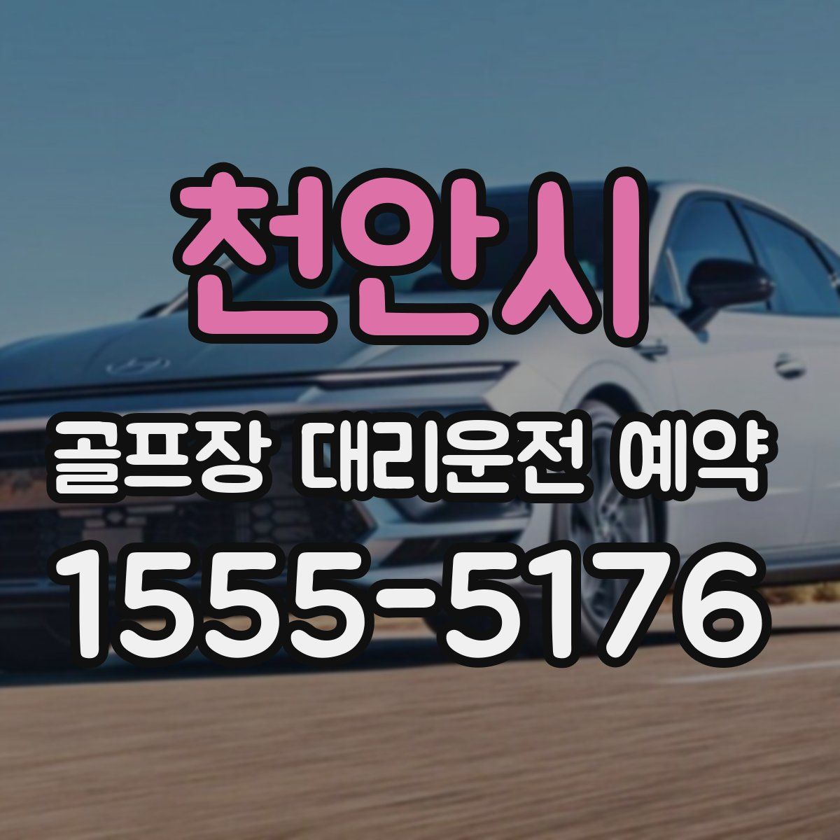 천안시 골프장 대리운전 예약