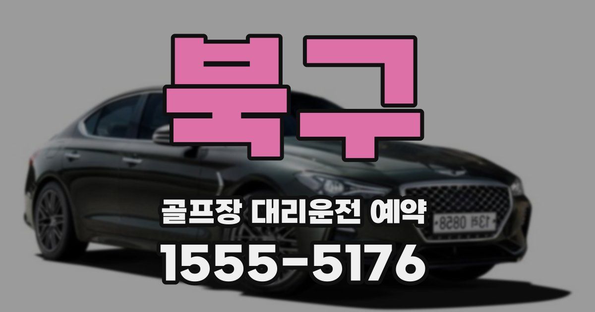 북구 골프장 대리운전 예약