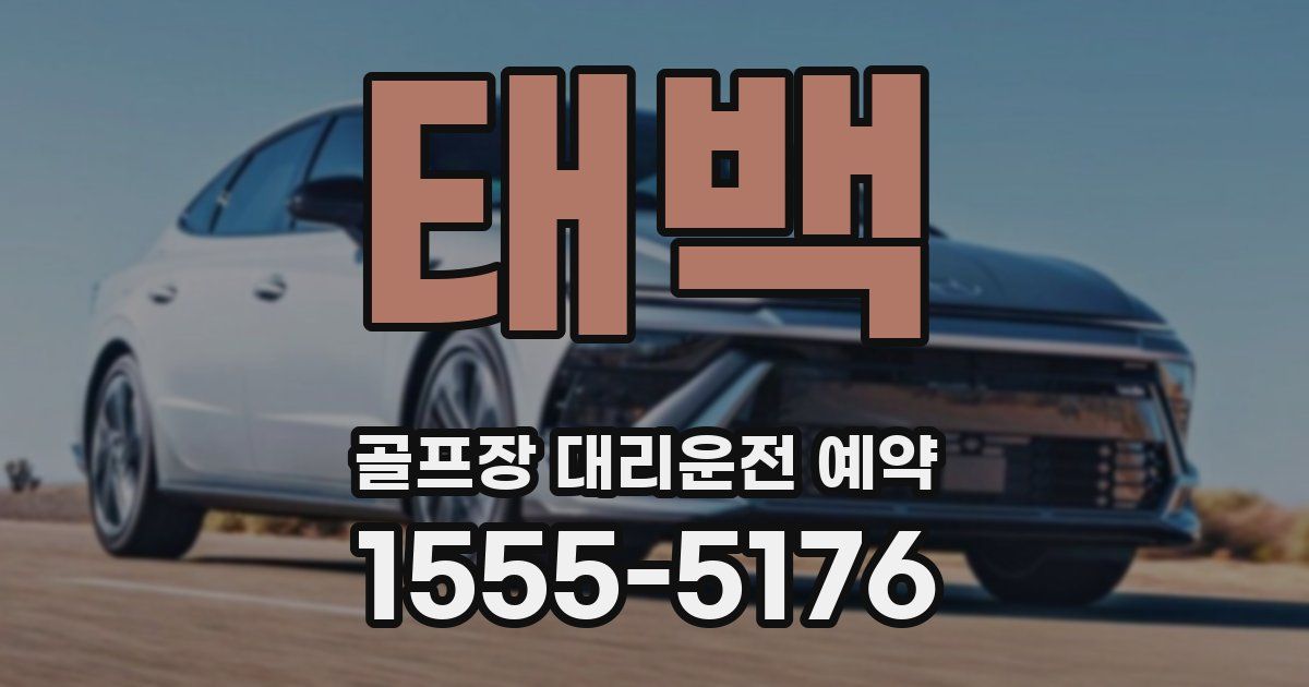 태백 골프장 대리운전 예약