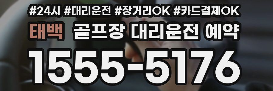 태백 골프장 대리운전 예약