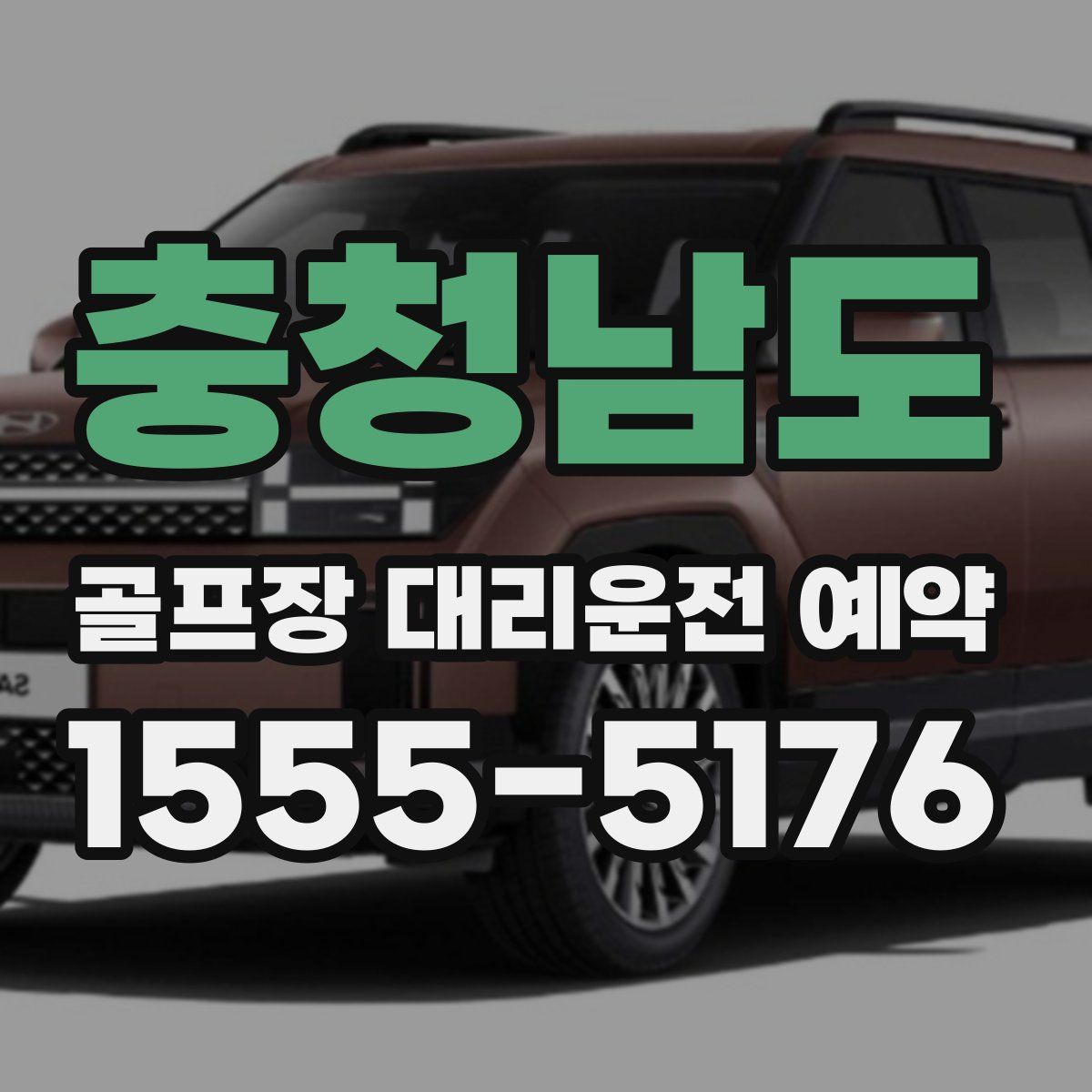 충청남도 골프장 대리운전 예약