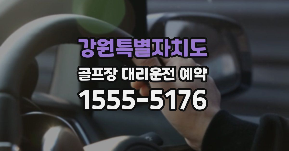 강원특별자치도 골프장 대리운전 예약
