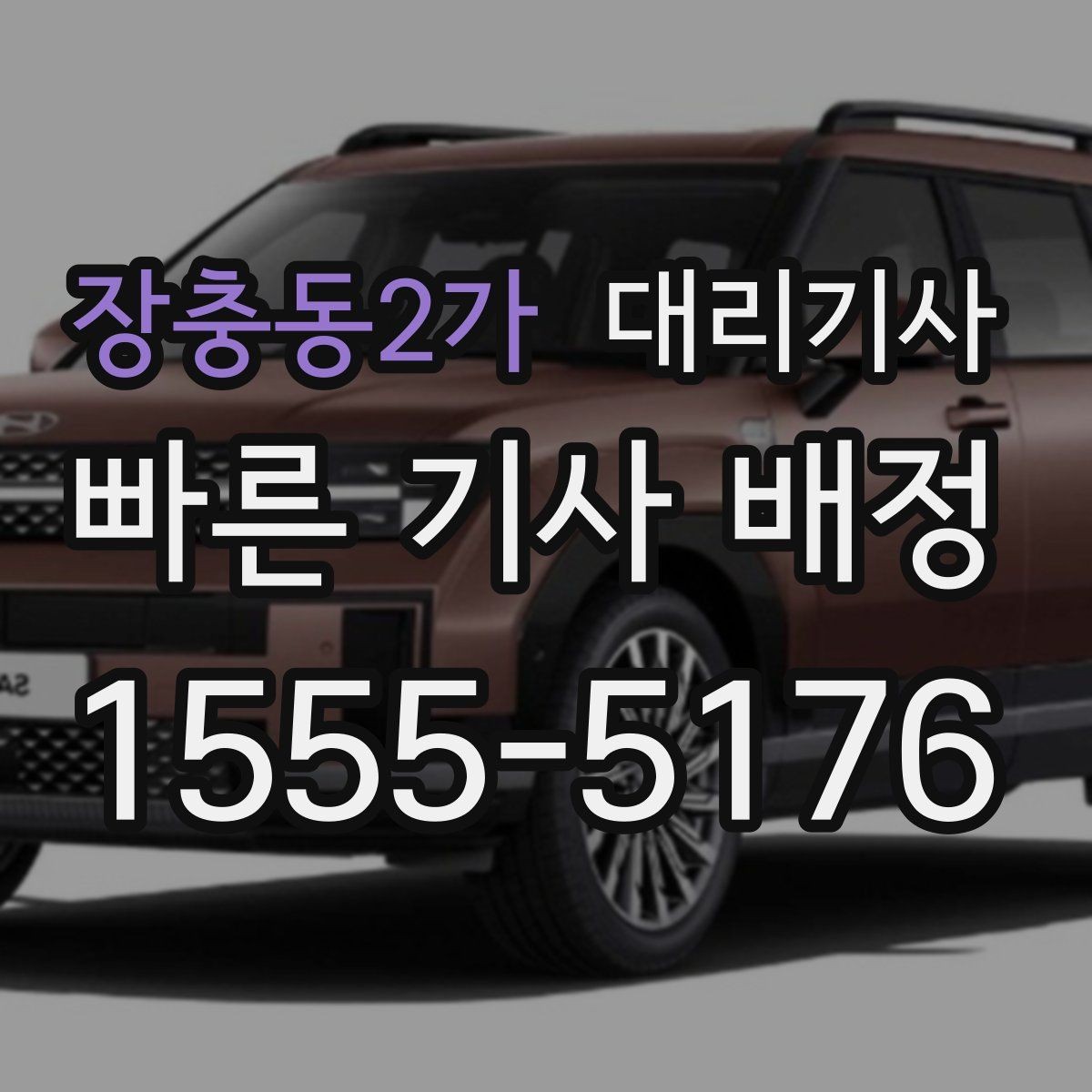 장충동2가 대리기사 출발 전 연료와 배터리 상태 점검