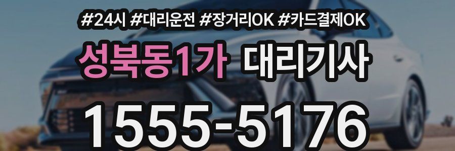 성북동1가 대리기사