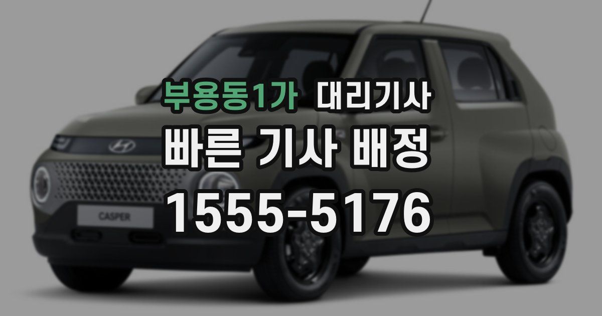 부용동1가 대리기사
