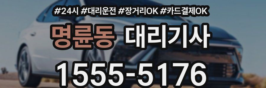 명륜동 대리기사