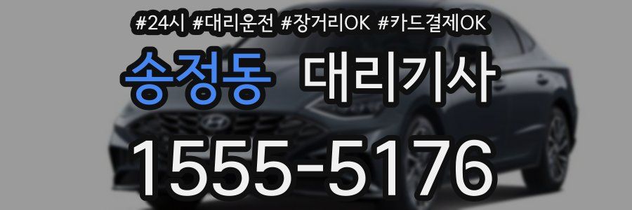 송정동 대리기사