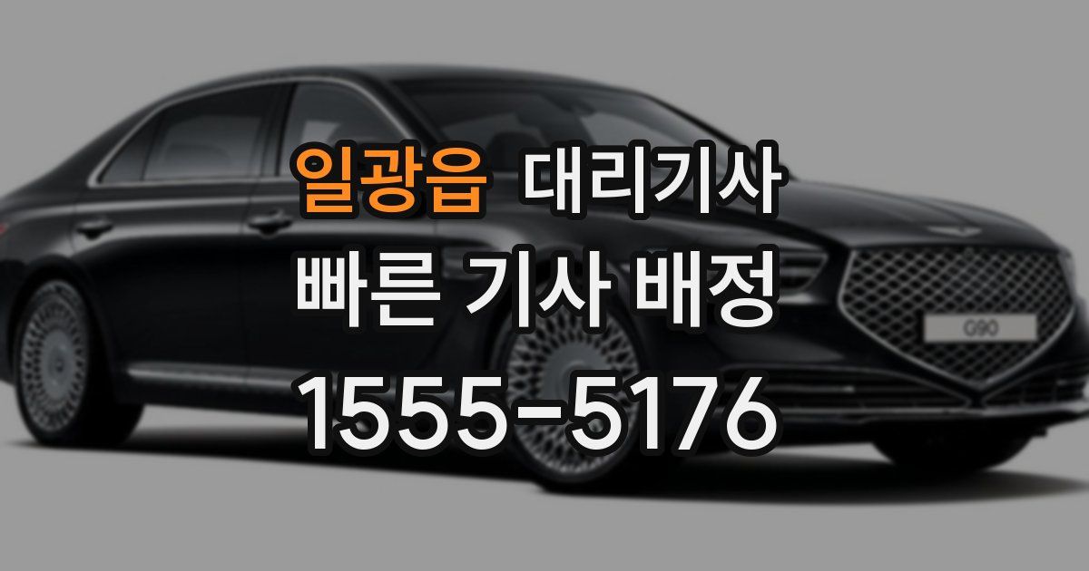 일광읍 대리기사
