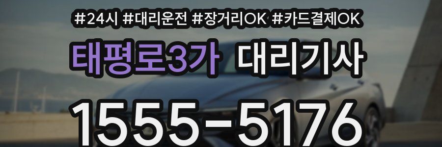 태평로3가 대리기사