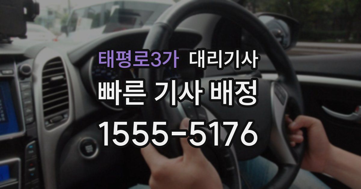 태평로3가 대리기사