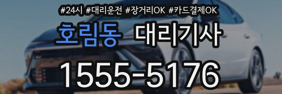 호림동 대리기사
