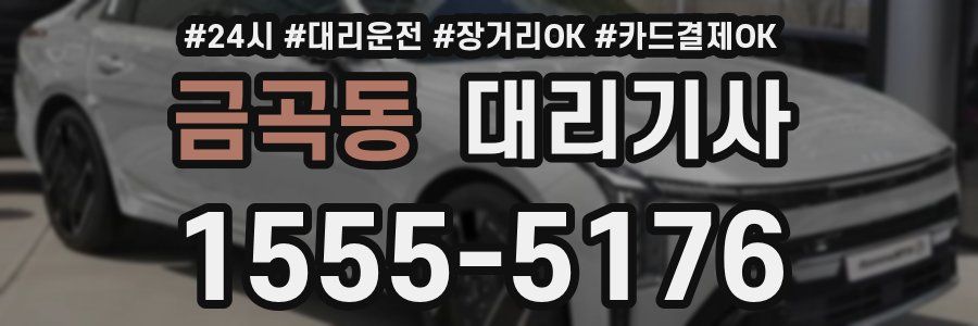금곡동 대리기사