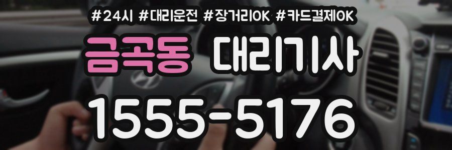 금곡동 대리기사