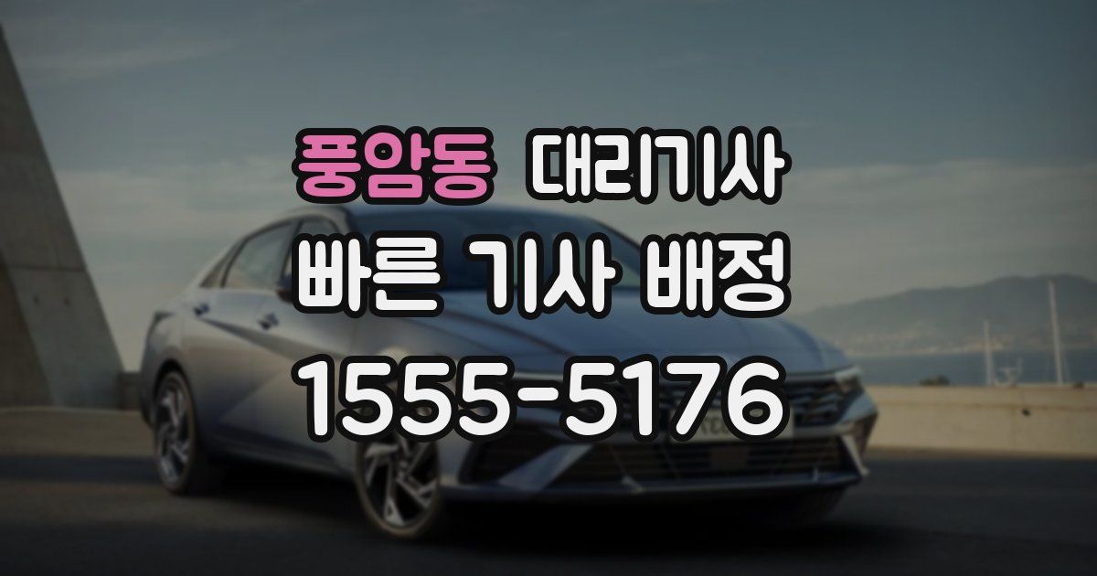 풍암동 대리기사