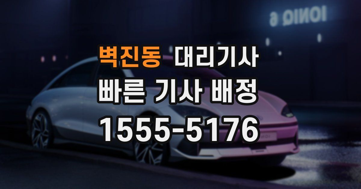 벽진동 대리기사