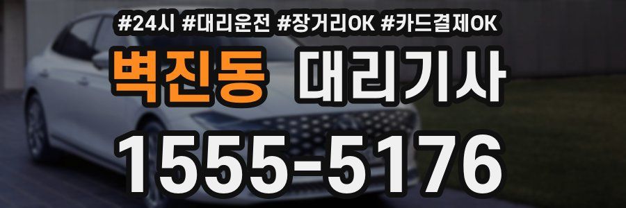 벽진동 대리기사