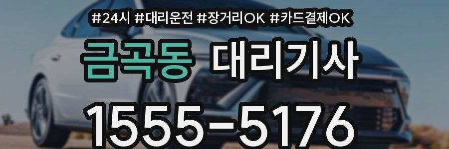 금곡동 대리기사