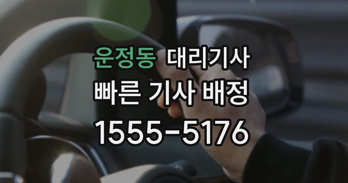 운정동 대리기사
