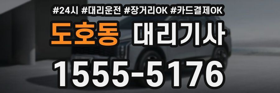 도호동 대리기사