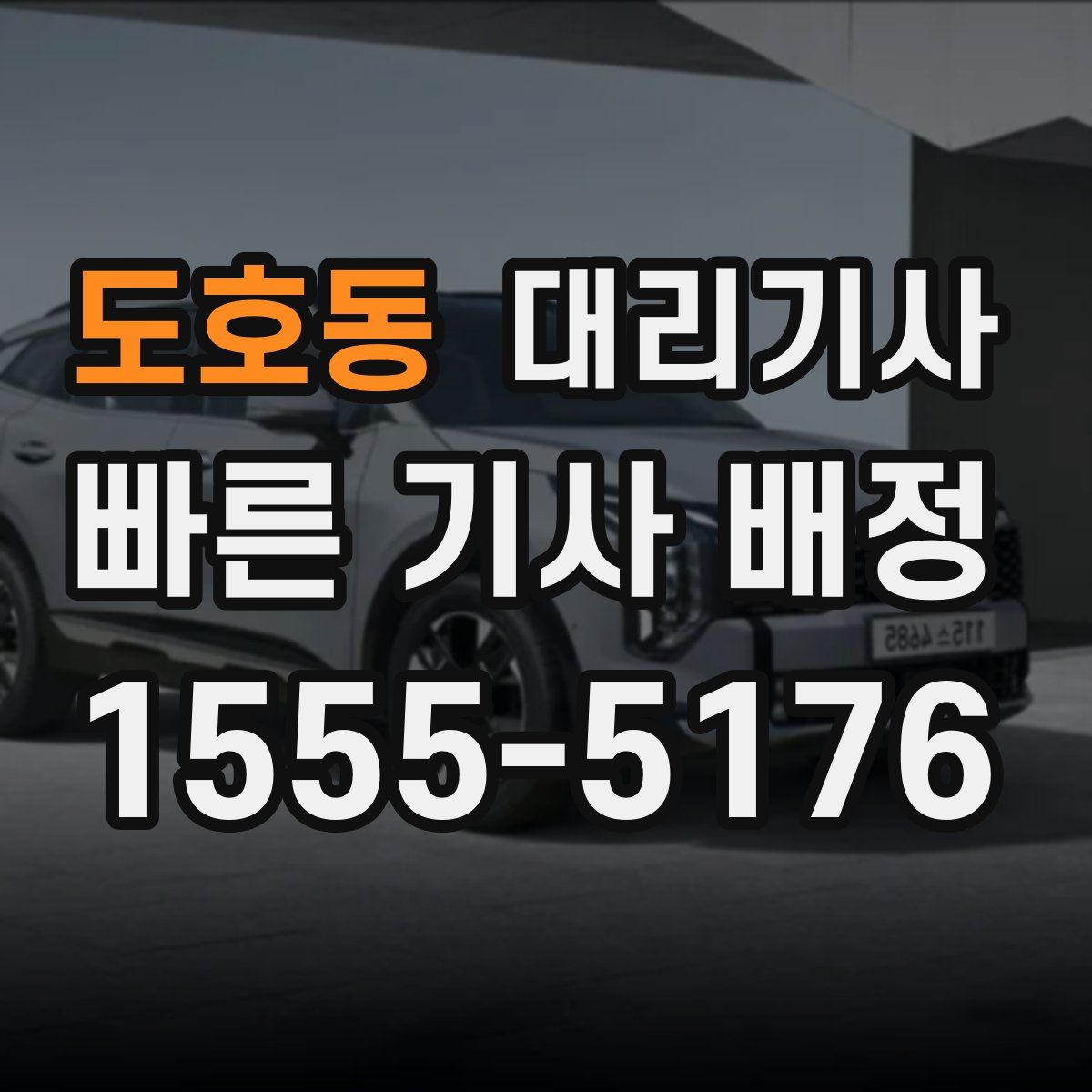 도호동 대리기사