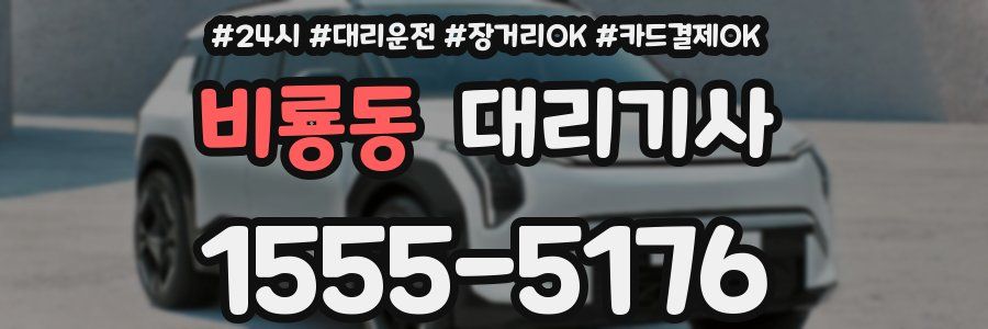 비룡동 대리기사