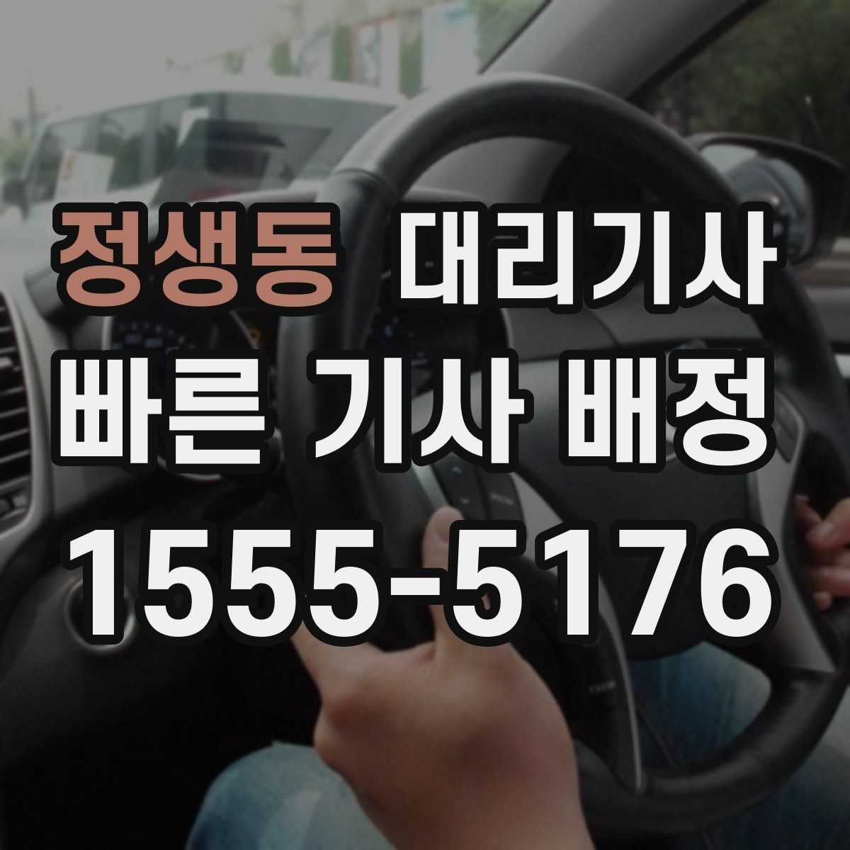 정생동 대리기사