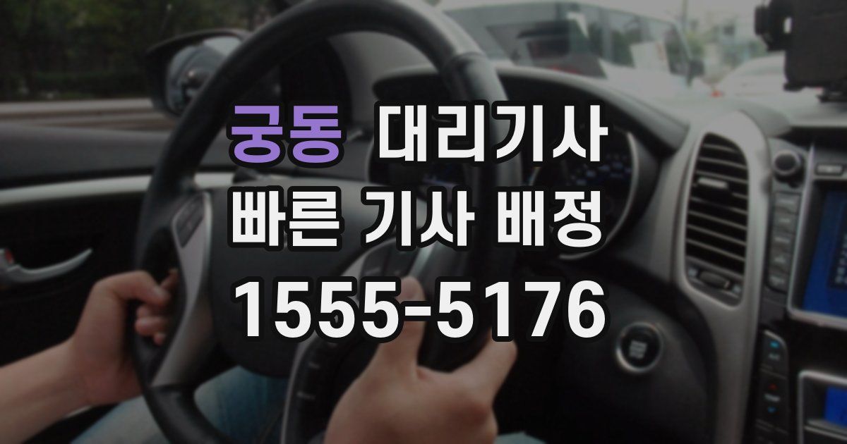 궁동 대리기사