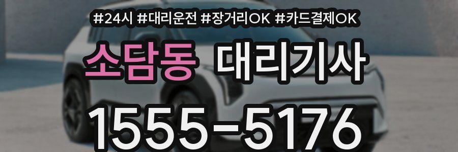 소담동 대리기사