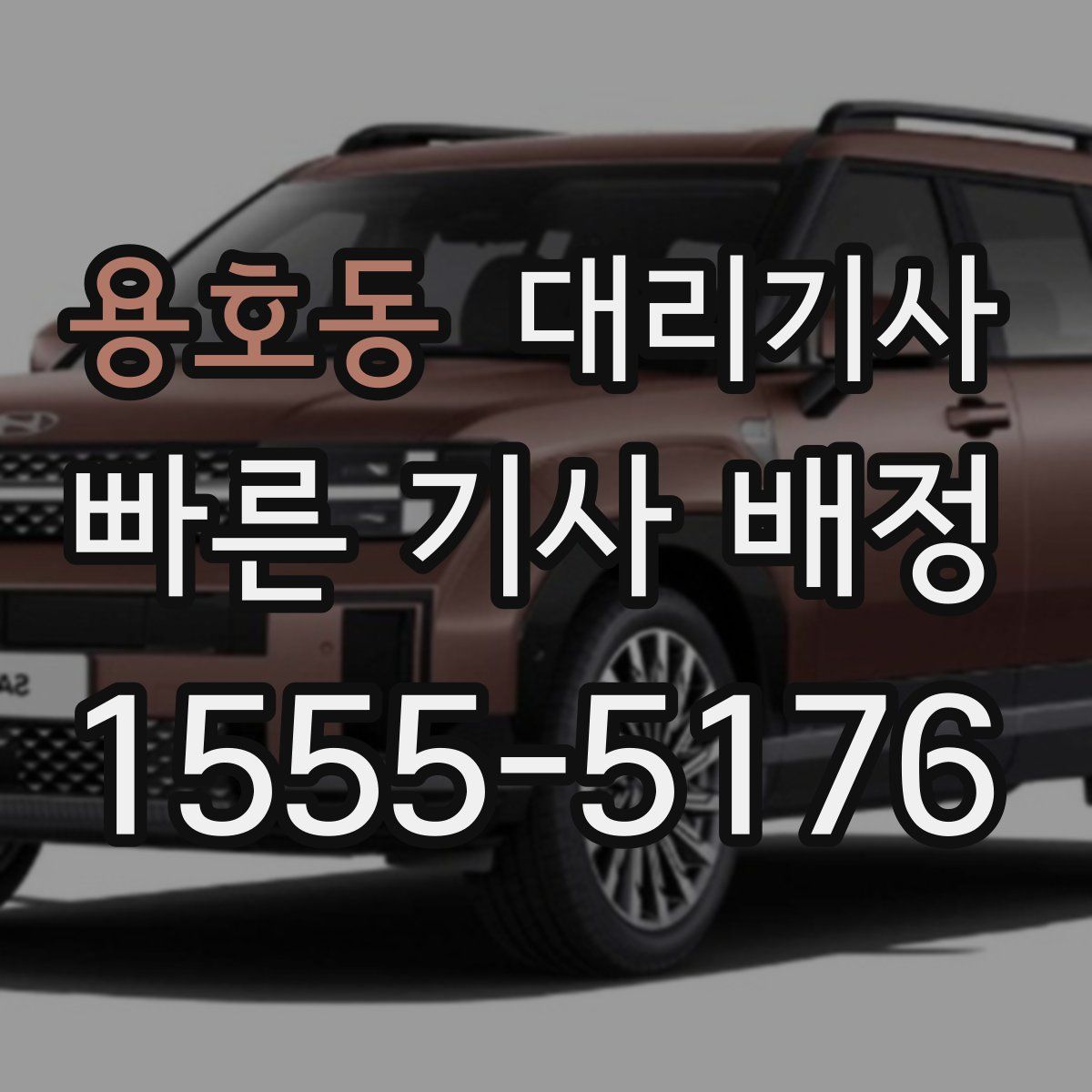 용호동 대리기사