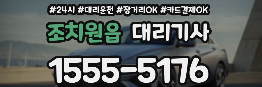 조치원읍 대리기사