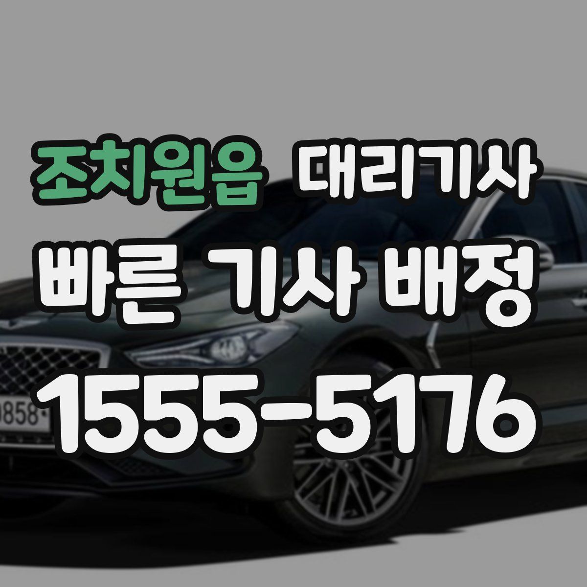 조치원읍 대리기사