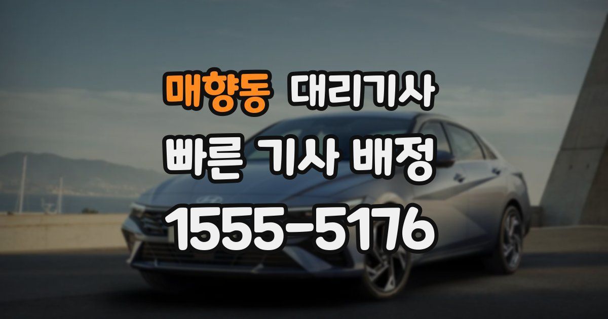 매향동 대리기사