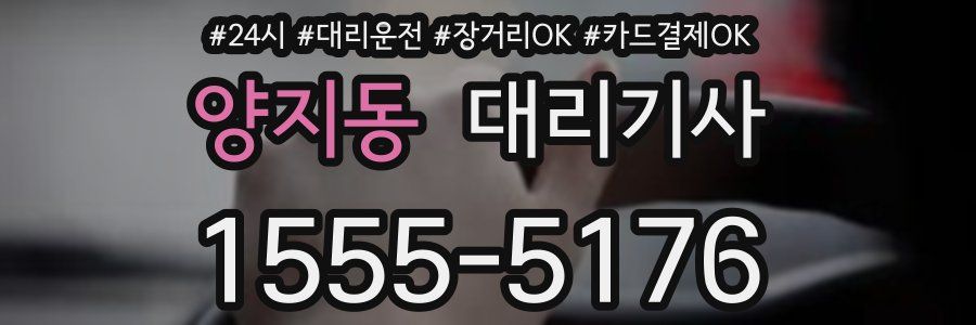 양지동 대리기사